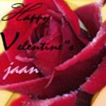 pic for Valentine Rose